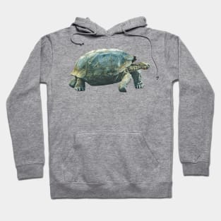 Galapagos Giant Turtle Hoodie